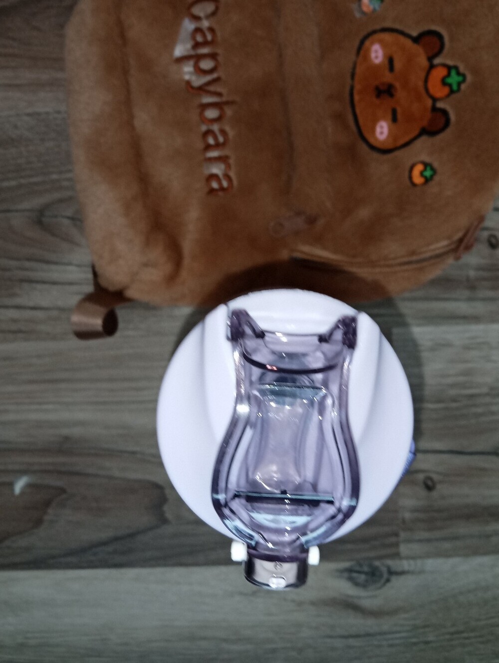Capybara Plush Kids Backpack - Light Brown Cute Bear Design And Water Bottle - Picture 5 of 6
